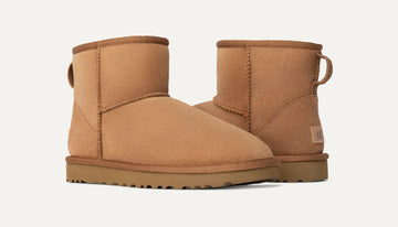 Ugg Classic  Mini II
